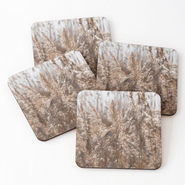 Item preview, Pampas grass on the shore of a lake 3 designed and sold by Heidemüllerin.