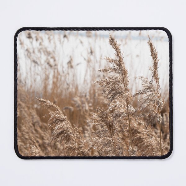 Item preview, Pampas grass on the shore of a lake 4 designed and sold by Heidemüllerin.