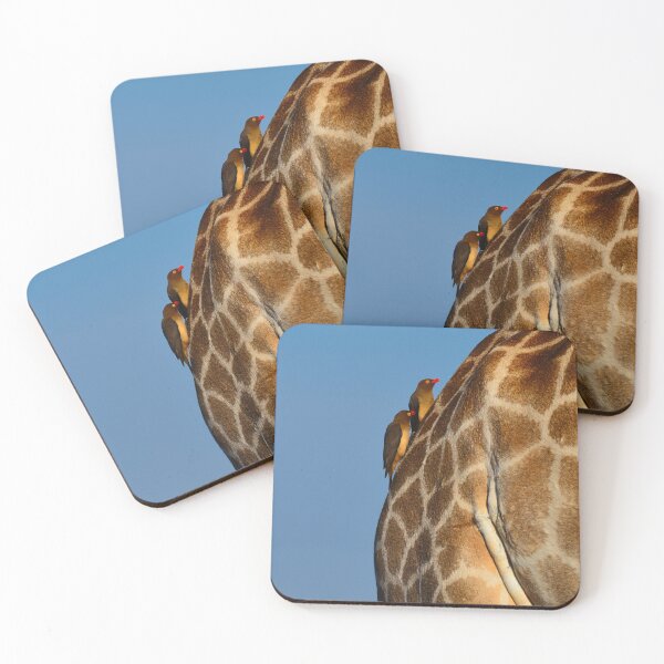 Item preview, Red-billed Oxpeckers on a Giraffe designed and sold by Pedro-Carrilho.