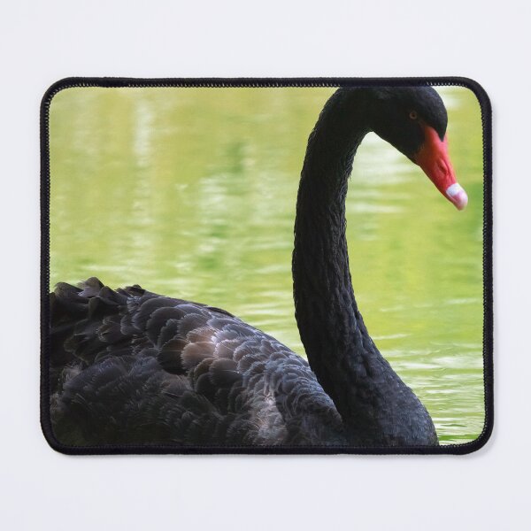 Item preview, portrait of a black swan designed and sold by likbatonboot.