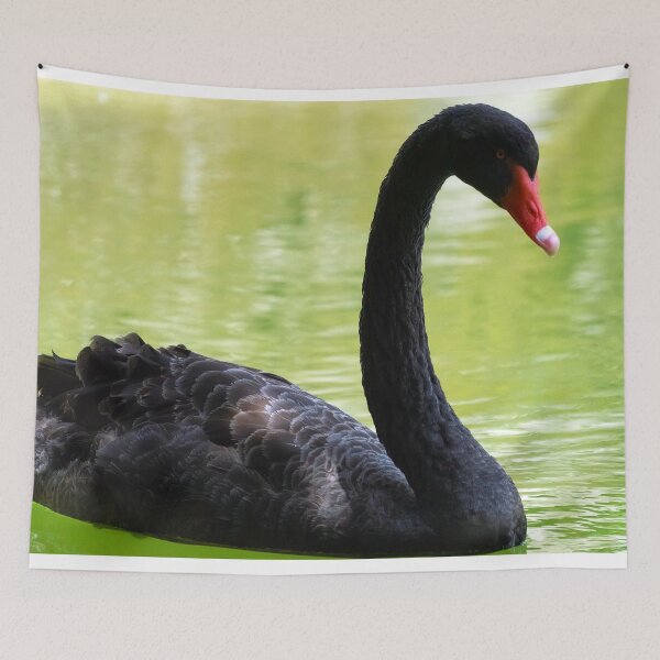 Item preview, portrait of a black swan designed and sold by likbatonboot.