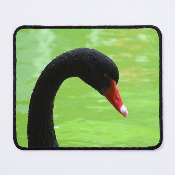 Item preview, closeup of a black swan designed and sold by likbatonboot.