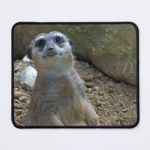 Item preview, portrait of a meerkat designed and sold by likbatonboot.