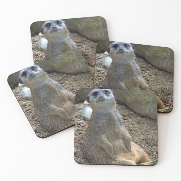 Item preview, portrait of a meerkat designed and sold by likbatonboot.