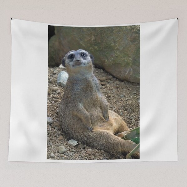 Item preview, portrait of a meerkat designed and sold by likbatonboot.