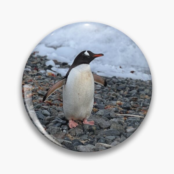 Item preview, Pingüino Gentoo - Isla Cuverville, Antártida designed and sold by Skulltech.