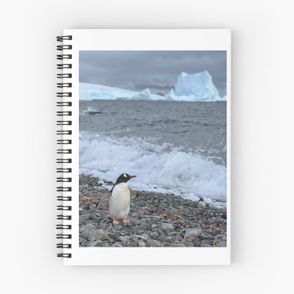 Item preview, Gentoo Penguin - Cuverville Island, Antarctica designed and sold by Skulltech.