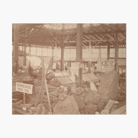 Tennessee Mineral Exhibit, Centennial Exposition of 1876, Philadelphia Art Board Print
