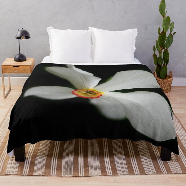 Item preview, White narcissus on black background designed and sold by olena2552.