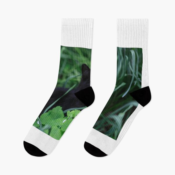 Item preview, Black cat sitting on green grass designed and sold by olena2552.