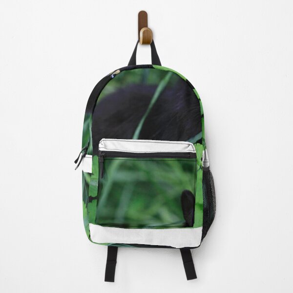 Item preview, Black cat sitting on green grass designed and sold by olena2552.