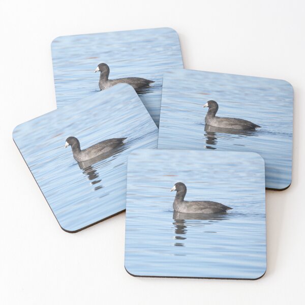 Item preview, American coot on the water designed and sold by KRFNatureGifts.