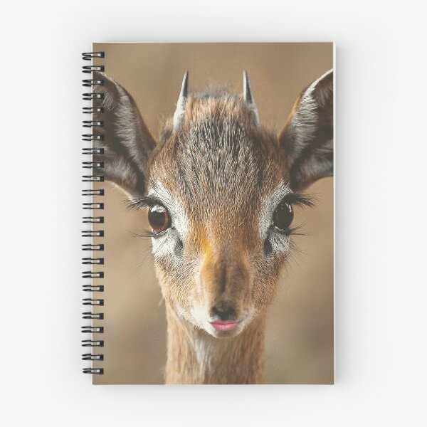 Item preview, Antelope Lips designed and sold by autoboxdesign.