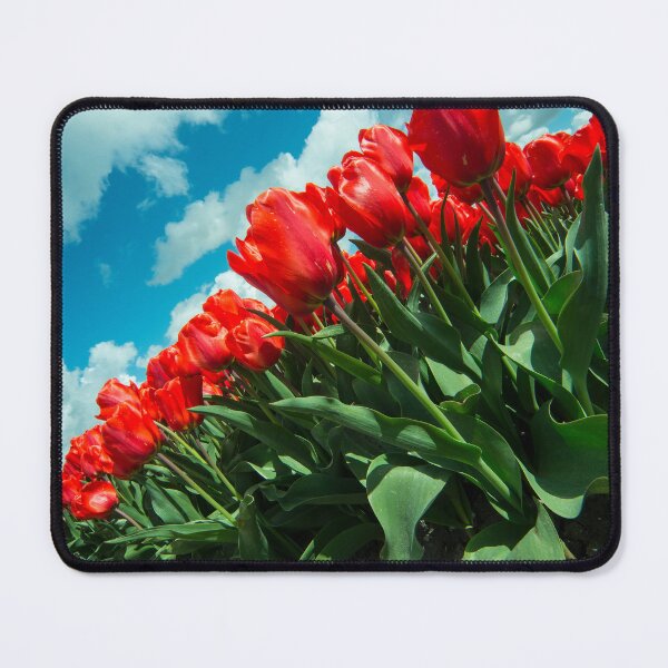 Item preview, Sky Tulips designed and sold by hawkie.