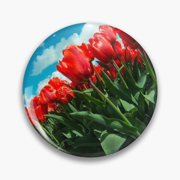 Item preview, Sky Tulips  designed and sold by hawkie.