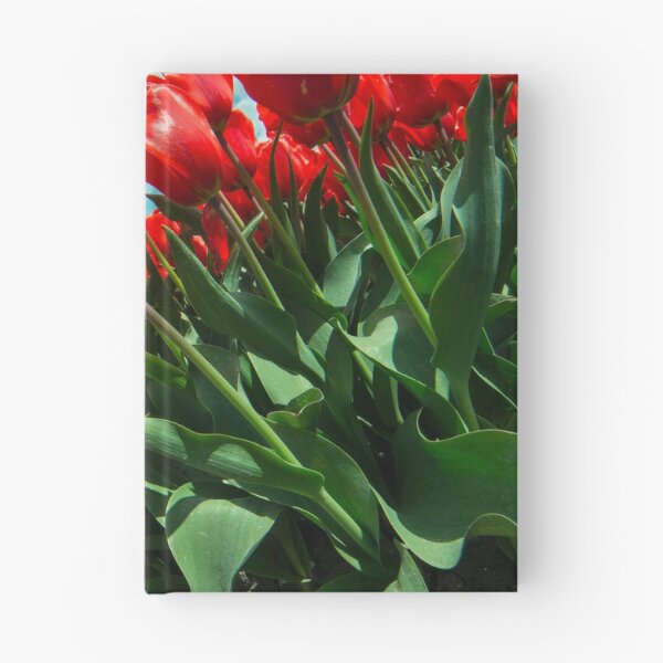Item preview, Sky Tulips  designed and sold by hawkie.
