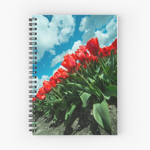 Item preview, Sky Tulips  designed and sold by hawkie.