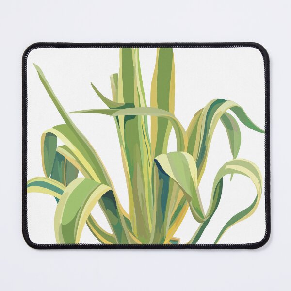 Item preview, pita plant designed and sold by Jimena Murguía.