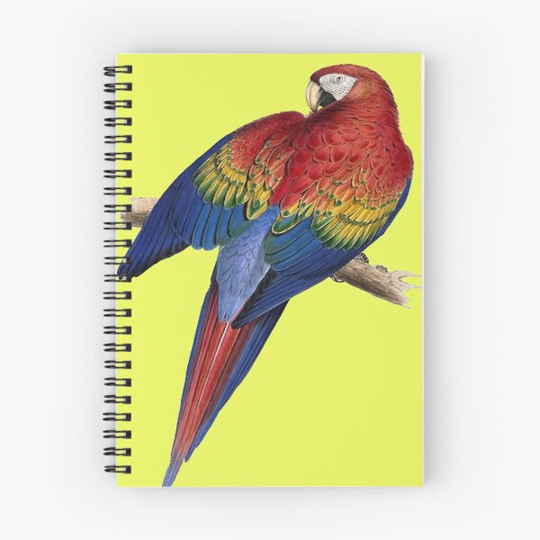 Item preview, Scarlet Macaw Perched On A Branch Illustration designed and sold by taiche.