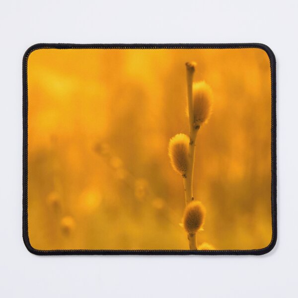 Item preview, Pussy willow yellow edit designed and sold by Jouko Lehto Photography.