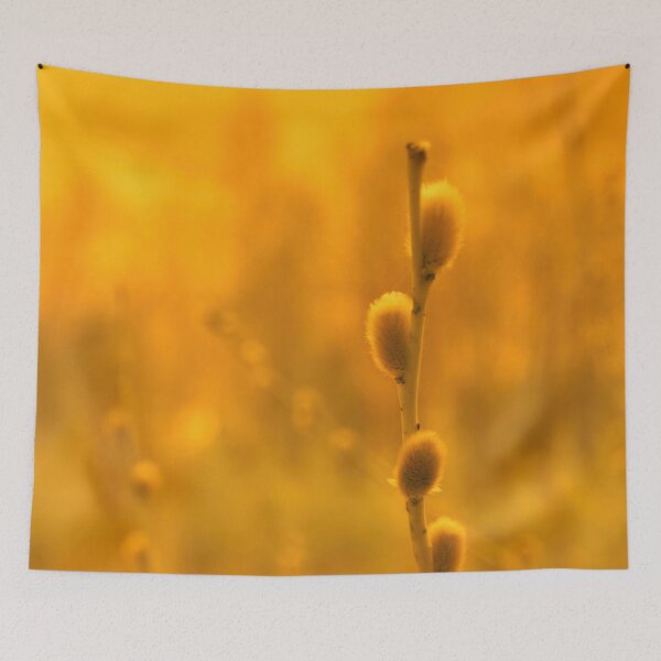 Item preview, Pussy willow yellow edit designed and sold by Jouko Lehto Photography.