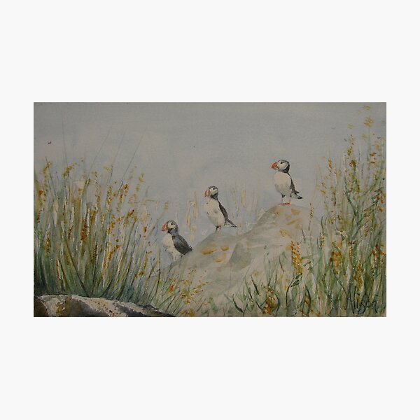 Item preview, Puffins on Patrol designed and sold by JustAlison.