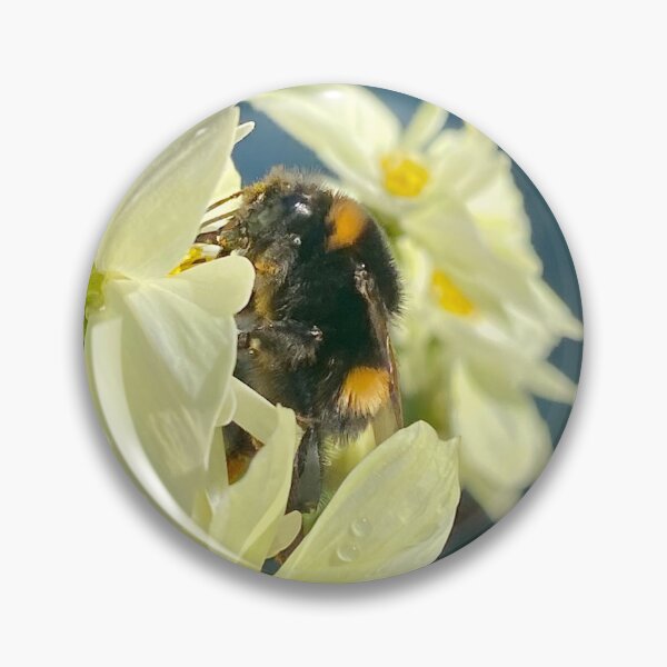Item preview, Bumblebee in Cosmos designed and sold by tailsandstays.