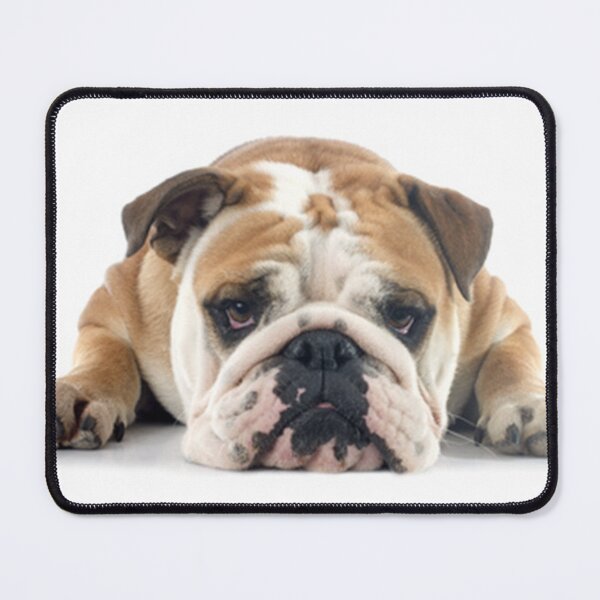 Item preview, English bulldog designed and sold by jduki.