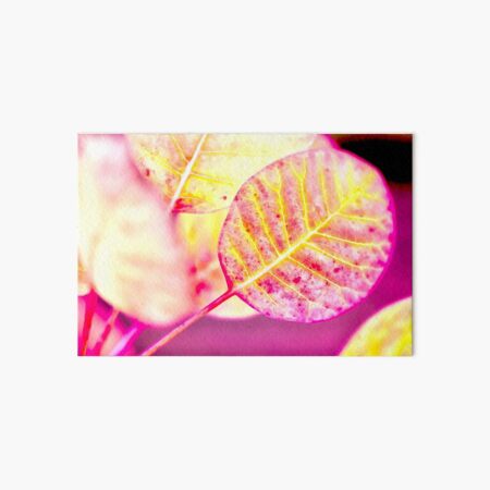 Lollipop Leaf Art Board Print