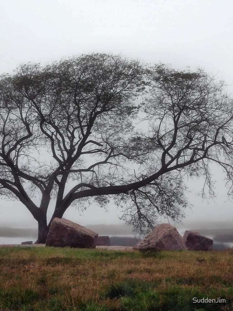 Thumbnail 4 of 4, iPhone Case, Tree In Mist designed and sold by SuddenJim.