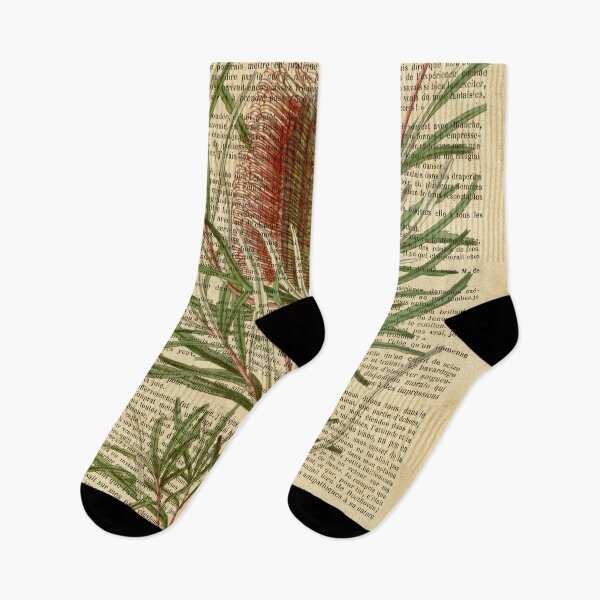 Item preview, Botanical print, on old book page - Exotic flowers and plants designed and sold by Art by Lilia.