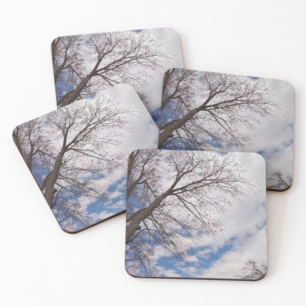 Item preview, Looking UP with the Trees designed and sold by fototaker Tony.