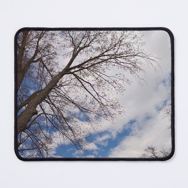 Item preview, Looking UP with the Trees designed and sold by fototaker Tony.