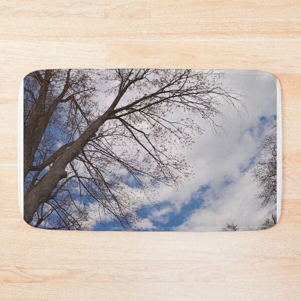 Item preview, Looking UP with the Trees designed and sold by fototaker Tony.
