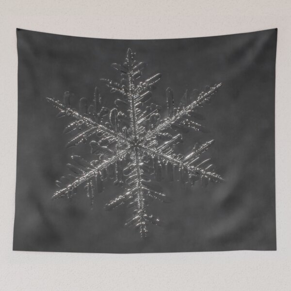Item preview, January snowflake #1 designed and sold by Roger Porter Photography.