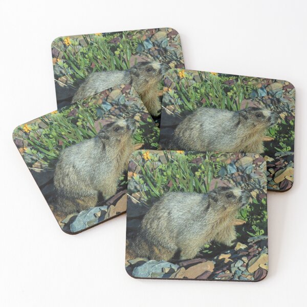 Item preview, Mountain Marmot : Glacier National Park, Montana designed and sold by CommandoCrane.