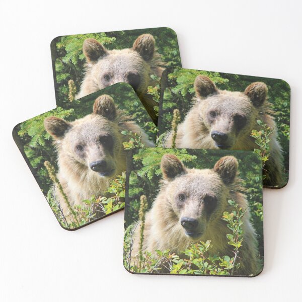 Item preview, A Bear's World : Glacier National Park, Montana designed and sold by CommandoCrane.