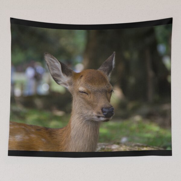 Item preview, Sleeping baby deer designed and sold by Shizenkai.