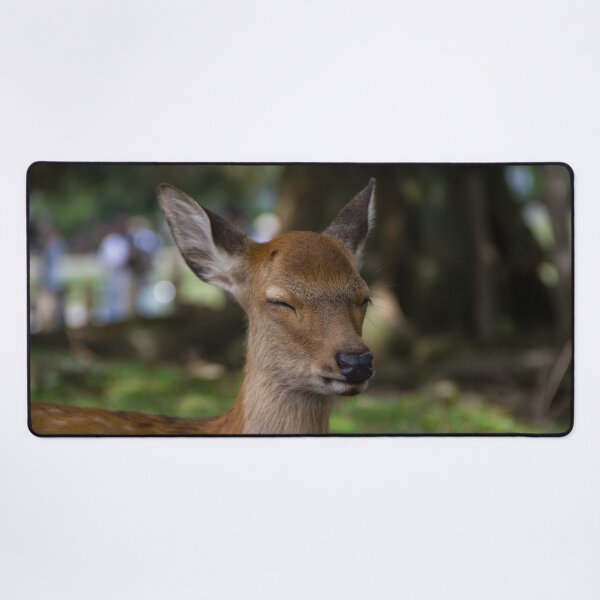 Item preview, Sleeping baby deer designed and sold by Shizenkai.