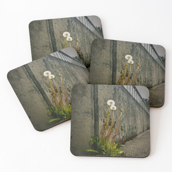 Item preview, Lifer designed and sold by Steve Walser.