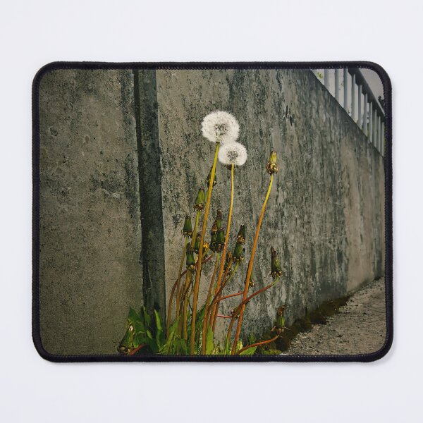 Item preview, Lifer designed and sold by Steve Walser.