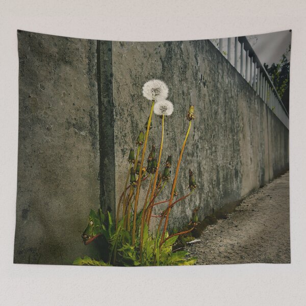 Item preview, Lifer designed and sold by Steve Walser.