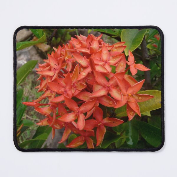 Item preview, Orange Flower designed and sold by HFGjewels.