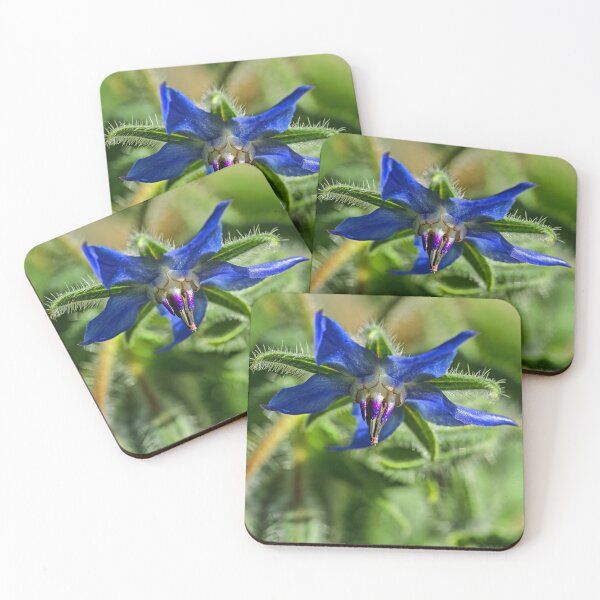 Item preview, Blue Starflower designed and sold by alanathrower.