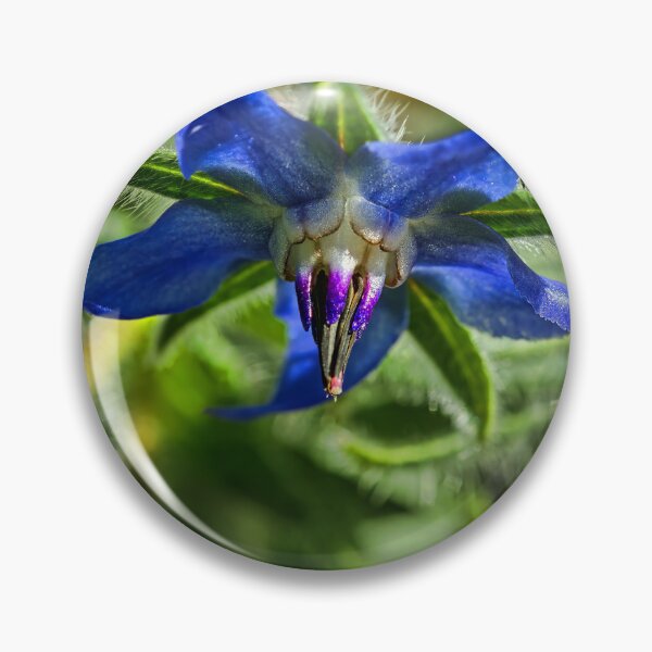 Item preview, Blue Starflower designed and sold by alanathrower.