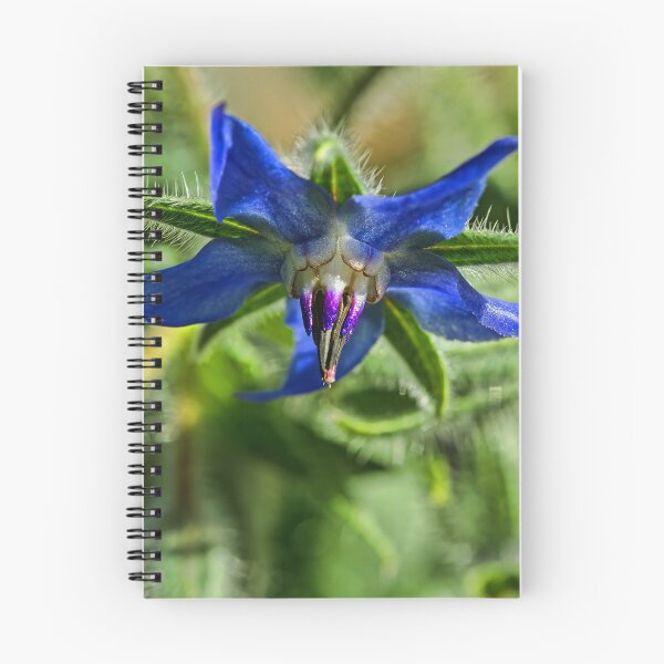 Item preview, Blue Starflower designed and sold by alanathrower.