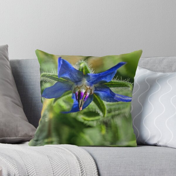 Item preview, Blue Starflower designed and sold by alanathrower.