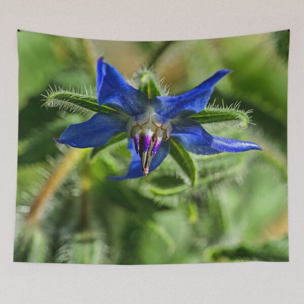 Item preview, Blue Starflower designed and sold by alanathrower.