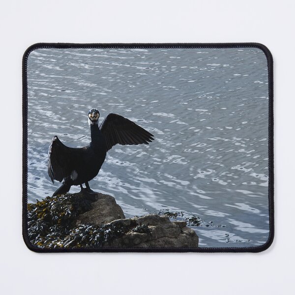 Item preview, A Posing Cormorant designed and sold by days-photographic.