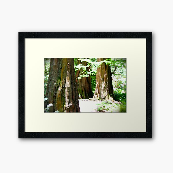 Item preview, Redwood Forrest designed and sold by savapavo.